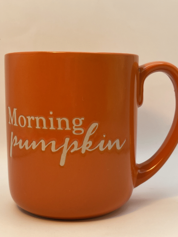 This Morning Pumpkin Mug by 10 Strawberry Street is the perfect #cupofmood for the person who loves pumpkins and all things fall.