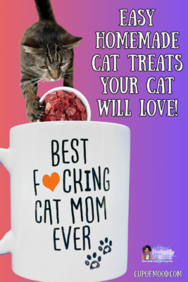 Happy cat enjoying homemade treats