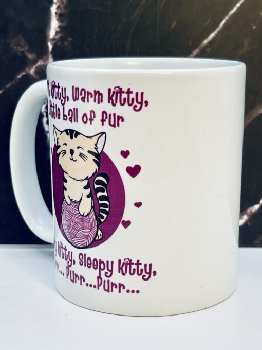 Big Bang Theory cat mug