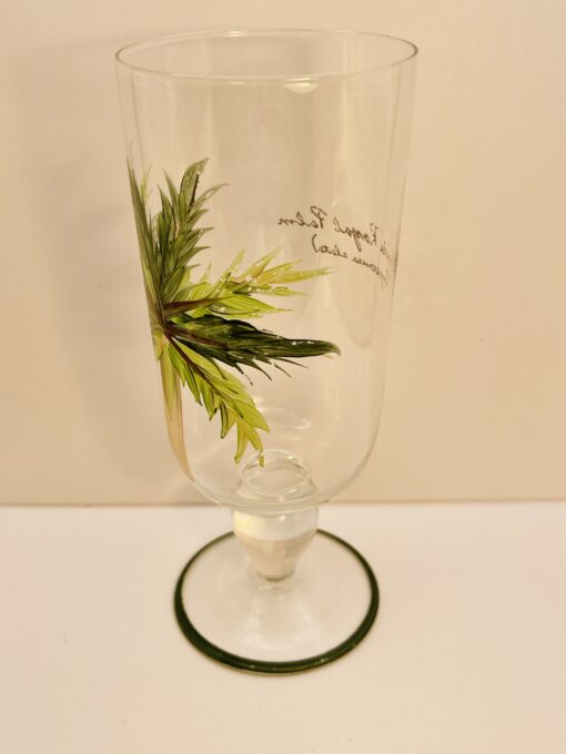 Beach-inspired Florida Royal Palm glassware collectible