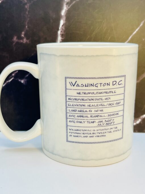 Starbucks Washington D.C. skyline coffee mug