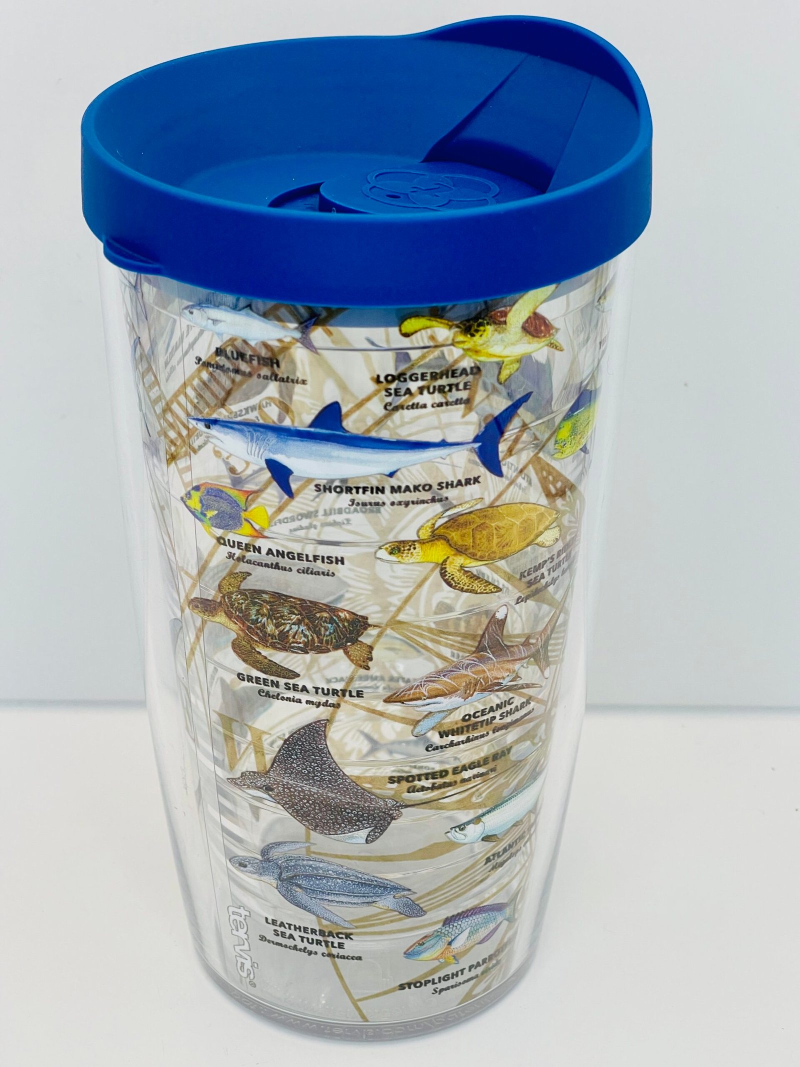BPA-free double-wall insulated Tervis tumbler