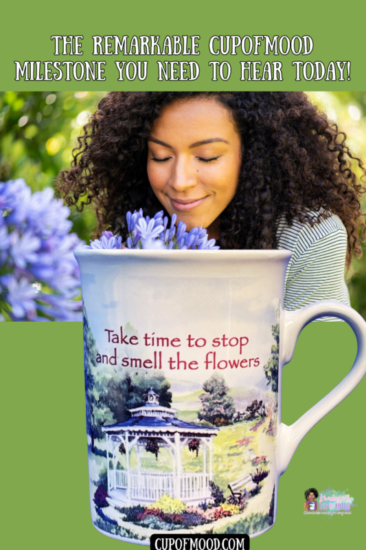 This inspirational Smell The Flowers Mug is the perfect inspirational #cupofmood. It’s ideal coffee cup mug for people who love Chicken Soup For The Soul.