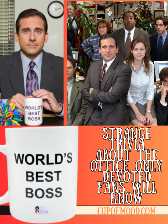 Strange Trivia About The Office Only Devoted Fans Will Know