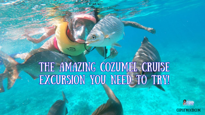 Snorkeling during Cozumel cruise excursion at Playa Uvas with tropical fish in clear Caribbean water