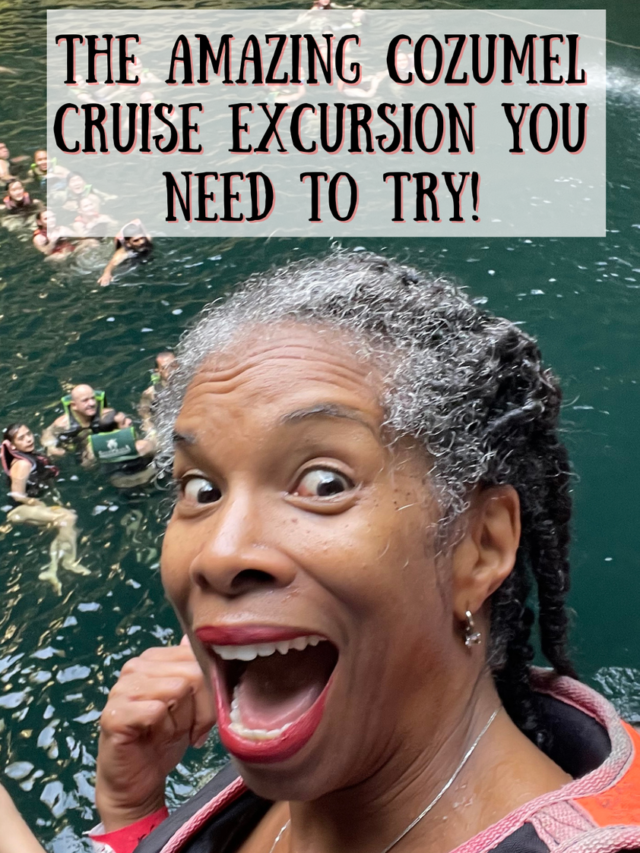 The Amazing Cozumel Cruise Excursion You Need To Try