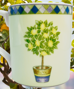 Royal Doulton Carmina Lemon Tree Mug displayed among lemon trees in a sunny garden setting