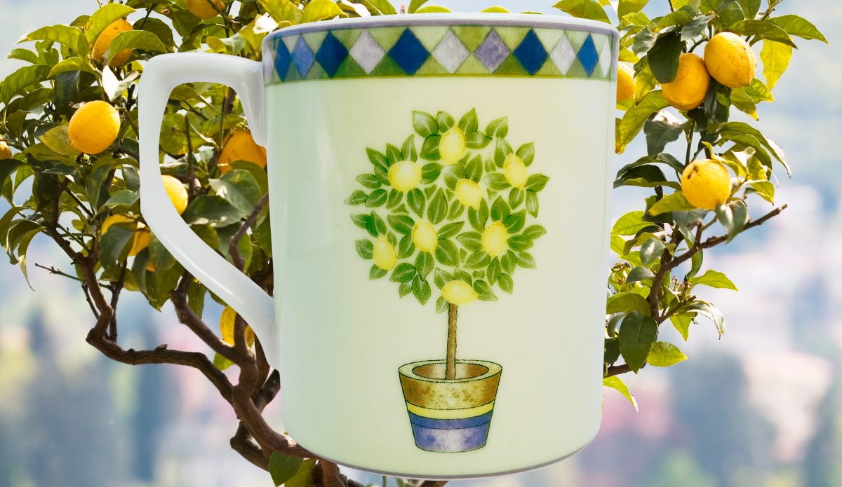 Royal Doulton Carmina Lemon Tree Mug displayed among lemon trees in a sunny garden setting