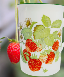 Roy Kirkham Strawberry Mug displayed among fresh strawberries in a garden setting