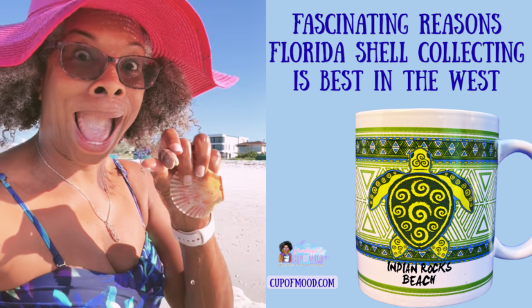 Khadeeja holding a scallop shell while shell collecting on Treasure Island Beach on Florida’s west coast