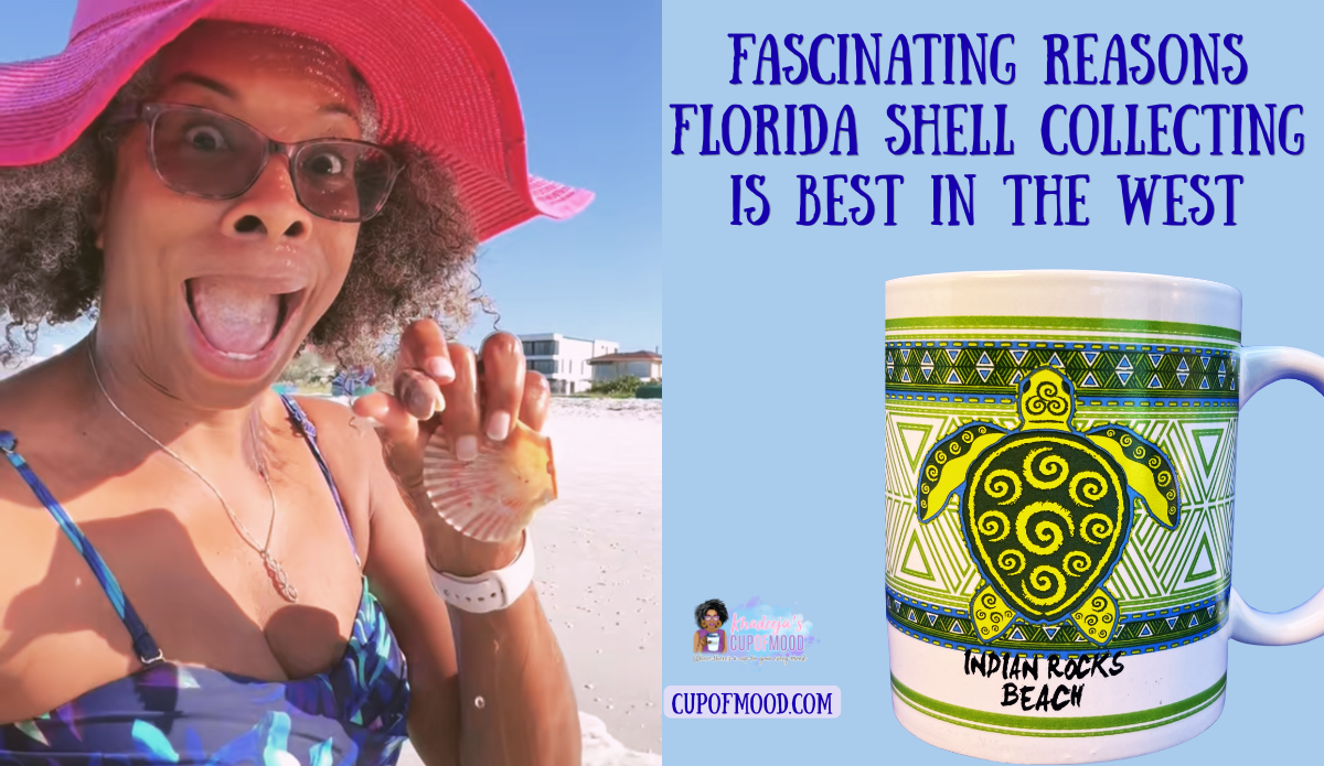 Khadeeja holding a scallop shell while shell collecting on Treasure Island Beach on Florida’s west coast