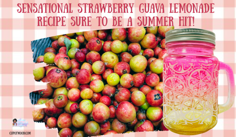 strawberry-guava-lemonade-recipe-hero-image.png