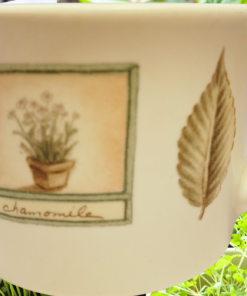 Pfaltzgraff Naturewood Chamomile Spearmint Mug displayed in an herb garden with chamomile artwork, botanical leaf, and cream handle.