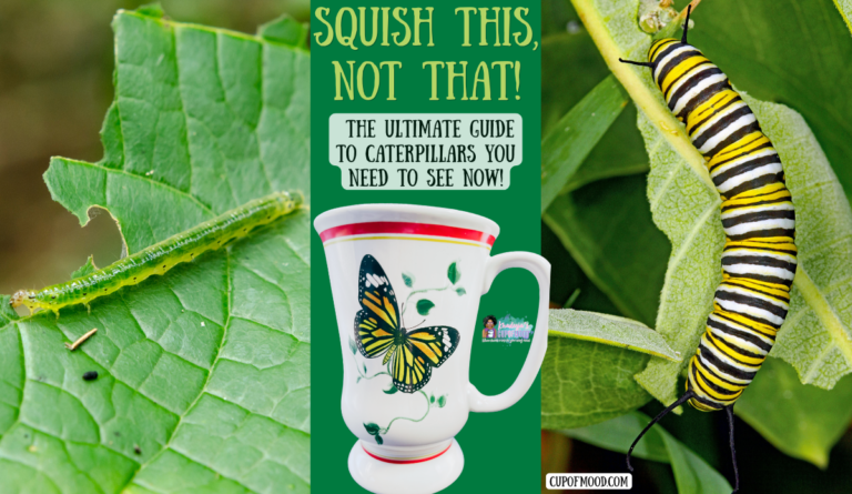 Green caterpillar and monarch caterpillar compared beside a butterfly mug for the Squish This, Not That caterpillar guide