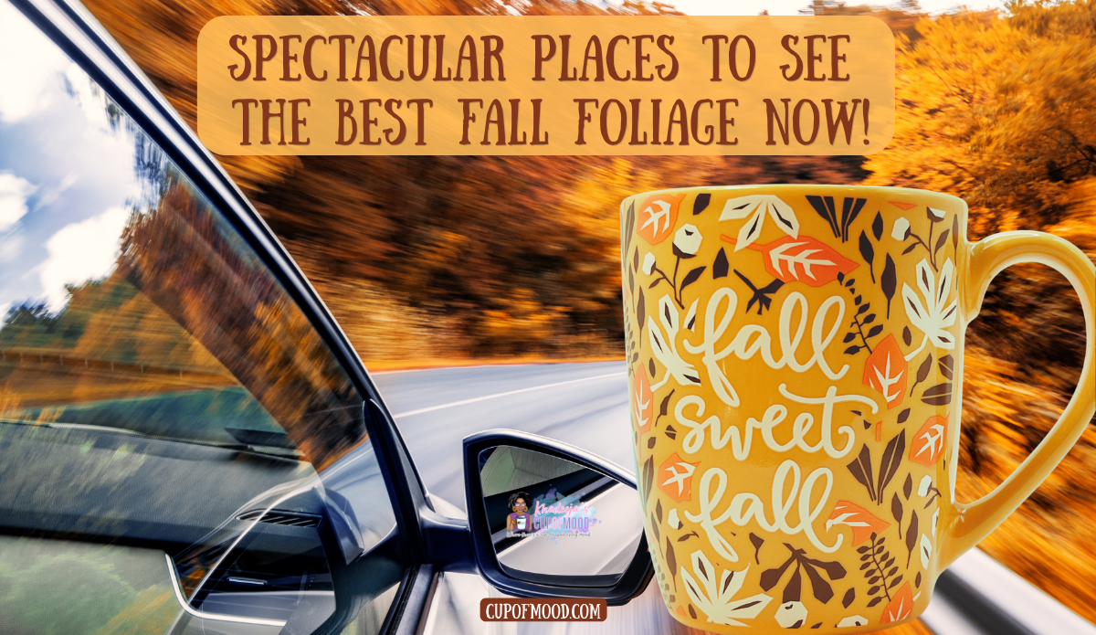 Fall Sweet Fall mug beside a scenic drive through golden autumn foliage