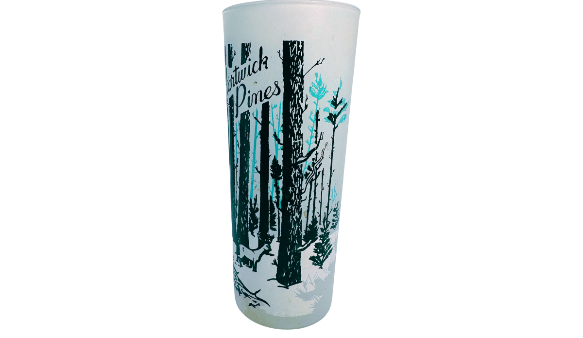 Hartwick Pines Michigan vintage frosted glass with black and turquoise woodland artwork