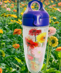 Tervis Gerbera Daisies Water Bottle With Purple Lid displayed in a colorful garden filled with yellow, orange, pink, and coral gerbera daisies.
