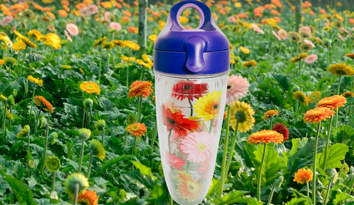Tervis Gerbera Daisies Water Bottle With Purple Lid displayed in a colorful garden filled with yellow, orange, pink, and coral gerbera daisies.